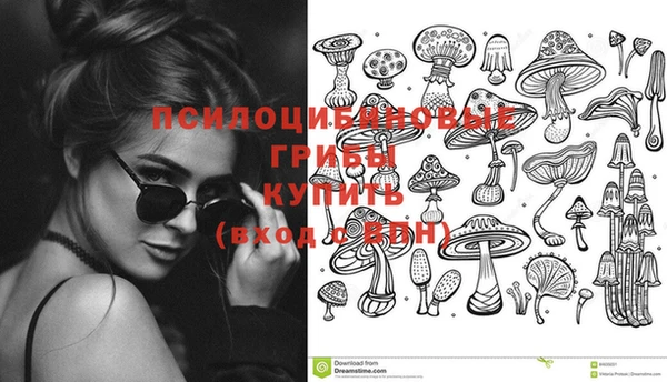 стаф Абинск
