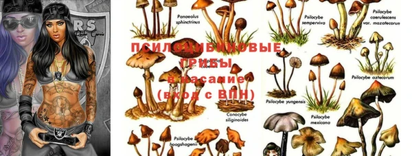 MDMA Абдулино