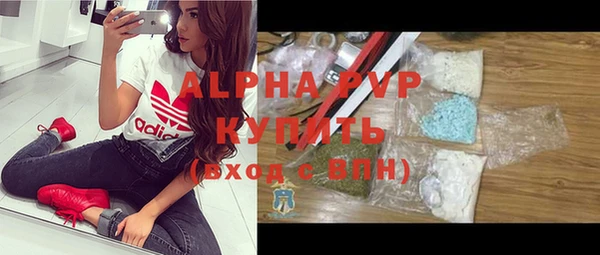 стаф Абинск