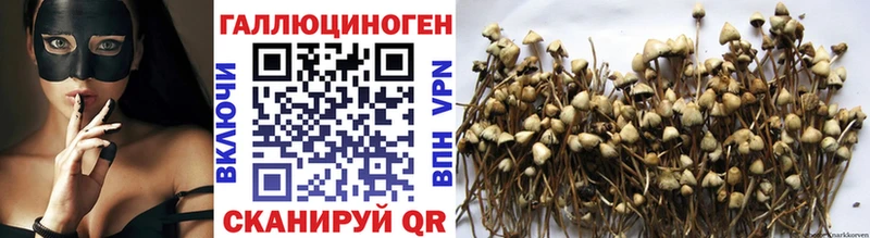 Галлюциногенные грибы Psilocybine cubensis  KRAKEN зеркало  Киров  наркотики 